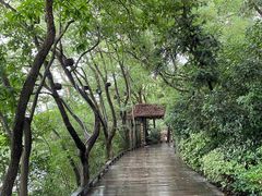 -天目湖山水园