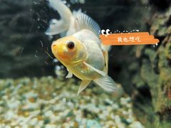 -外婆家(西溪印象城店)