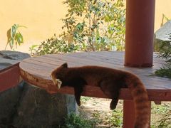 -杭州野生动物世界