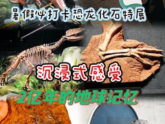 -遇见博物馆(遇见海洋沉浸式奇幻光影展)