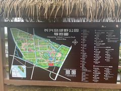 -上海长兴岛郊野公园