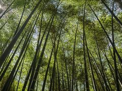 -同里国家湿地公园