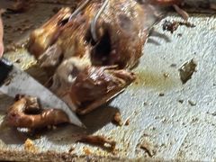 -童子鸡专卖店(中新街店)