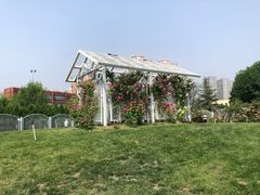 -太阳宫公园
