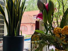 -蝶舍·MAISON PAPILLON