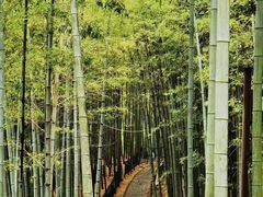 -宝岩生态观光园