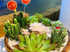 -九秋茶铺(三里屯店)