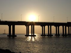 -宝安西湾红树林湿地公园