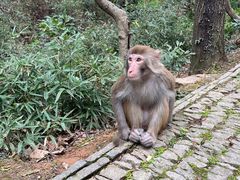 -苏州上方山国家森林公园
