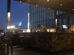 -四季酒店·空中花园 Aria on 9