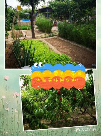 六一出行|亲子农场采摘烧烤应有尽有。