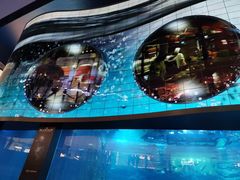-迪拜水族馆及水下动物园