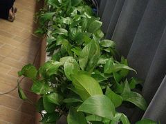 -锦初•影院式足道•新中式SPA(茂业天地店)