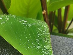 -石峰岩寺