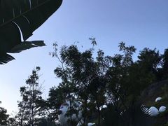 -100蛋泥浆浴