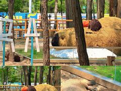 -南戴河国际娱乐中心