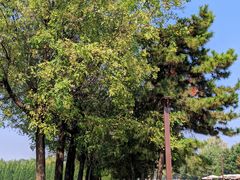 -汉长安城未央宫国家考古遗址公园