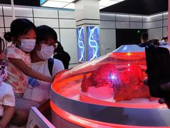 -侏罗纪世界电影特展(广州站)