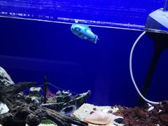 -MOJO密室逃脱(中街旗舰店)