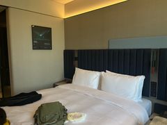 -城际上海虹桥机场酒店