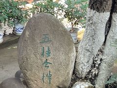 -八大山人梅湖景区