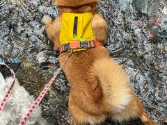 -西岭雪山大飞水景区