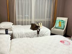 -北京长白山国际酒店(鸟巢店)