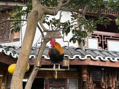 -青城甲(青城山店)