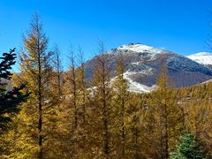 -灵山