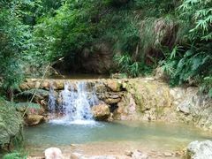 -南海湾森林生态园