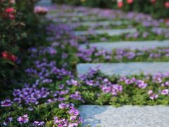 -海心沙亚运公园