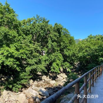 初夏去哪玩，崂山走一走