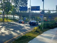 -宝安西湾红树林湿地公园