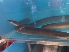 -丰豪烧烤 · 粤式大排档(爱华店)