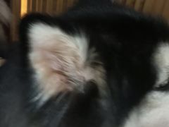 -白兔子密室(长寿路店)