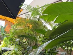 -gaga(深圳南山益田假日广场店)