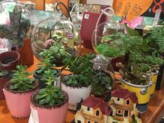 -矢量咖啡(万象汇店)