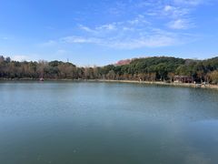 -昆山城市生态森林公园