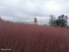 -羊亭河湿地公园