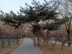 -元大都城垣遗址公园