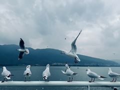 -滇池海埂公园