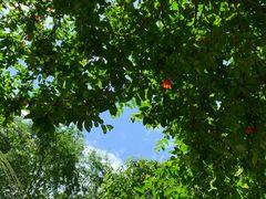 -吉姆丽德乡村西餐厅(闵行交大店)