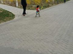 -大兴滨河森林公园