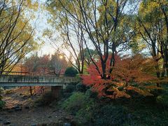 -宝界山林公园