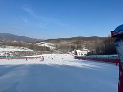 -亚布力新体委滑雪场