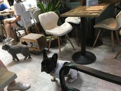 -小时光咖啡馆(北锣鼓巷店)
