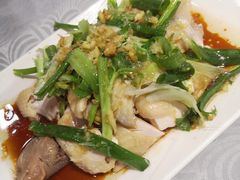 招牌葱油鸡-粤·向群饭店(龙津东路总店)