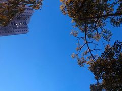 -胡桃里音乐酒馆(仓山万达店)