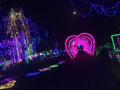 -杏花村文化旅游区