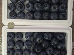 -哈尔信阳光农园超市(沈阳三台子万象汇店)